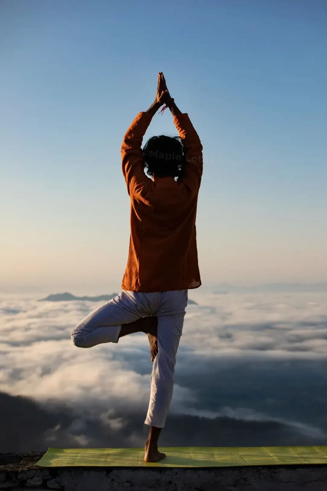 Maple Lotus Yoga 15