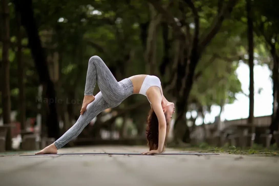 Maple Lotus Yoga 4